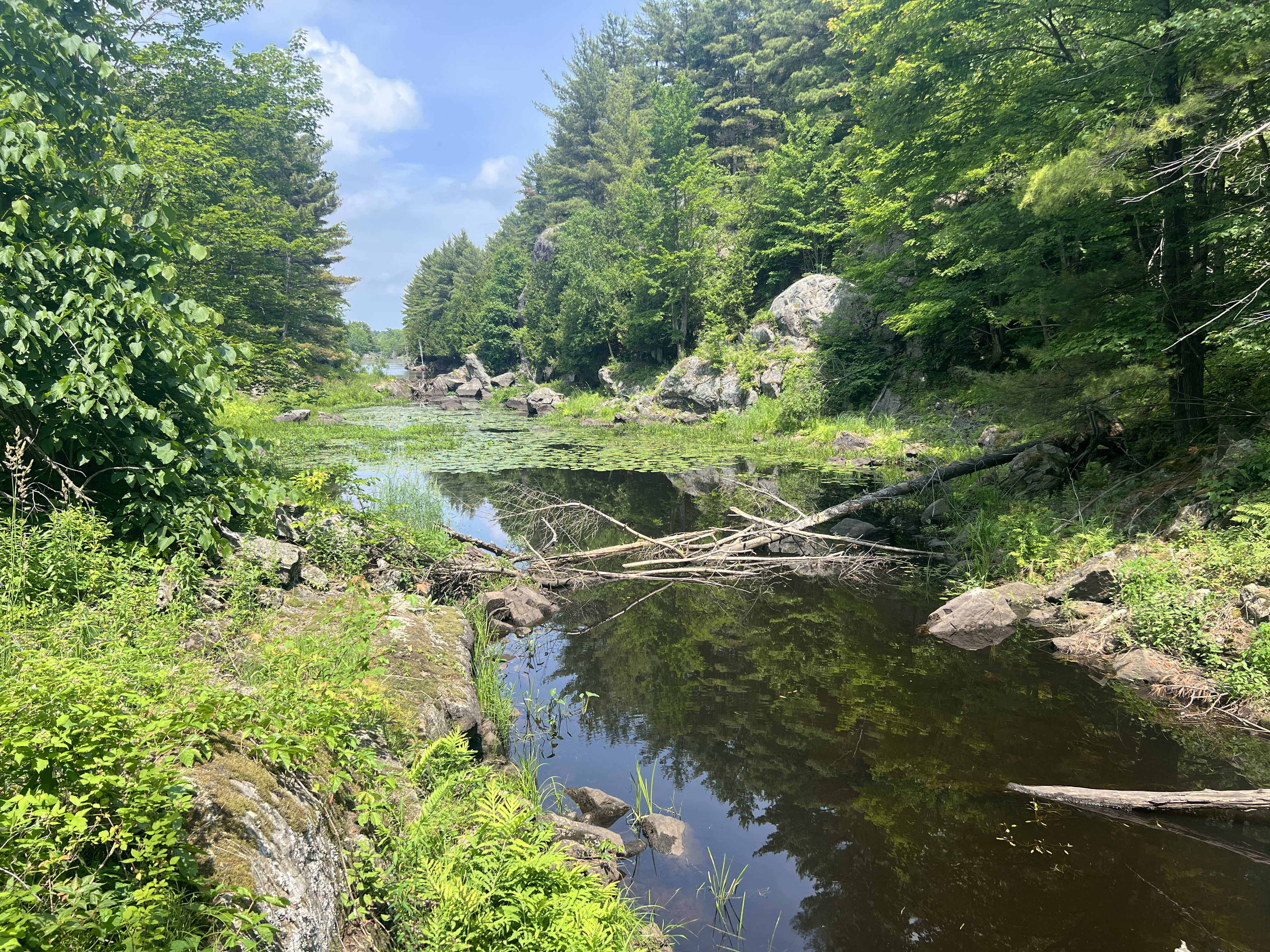 A picture of a lake