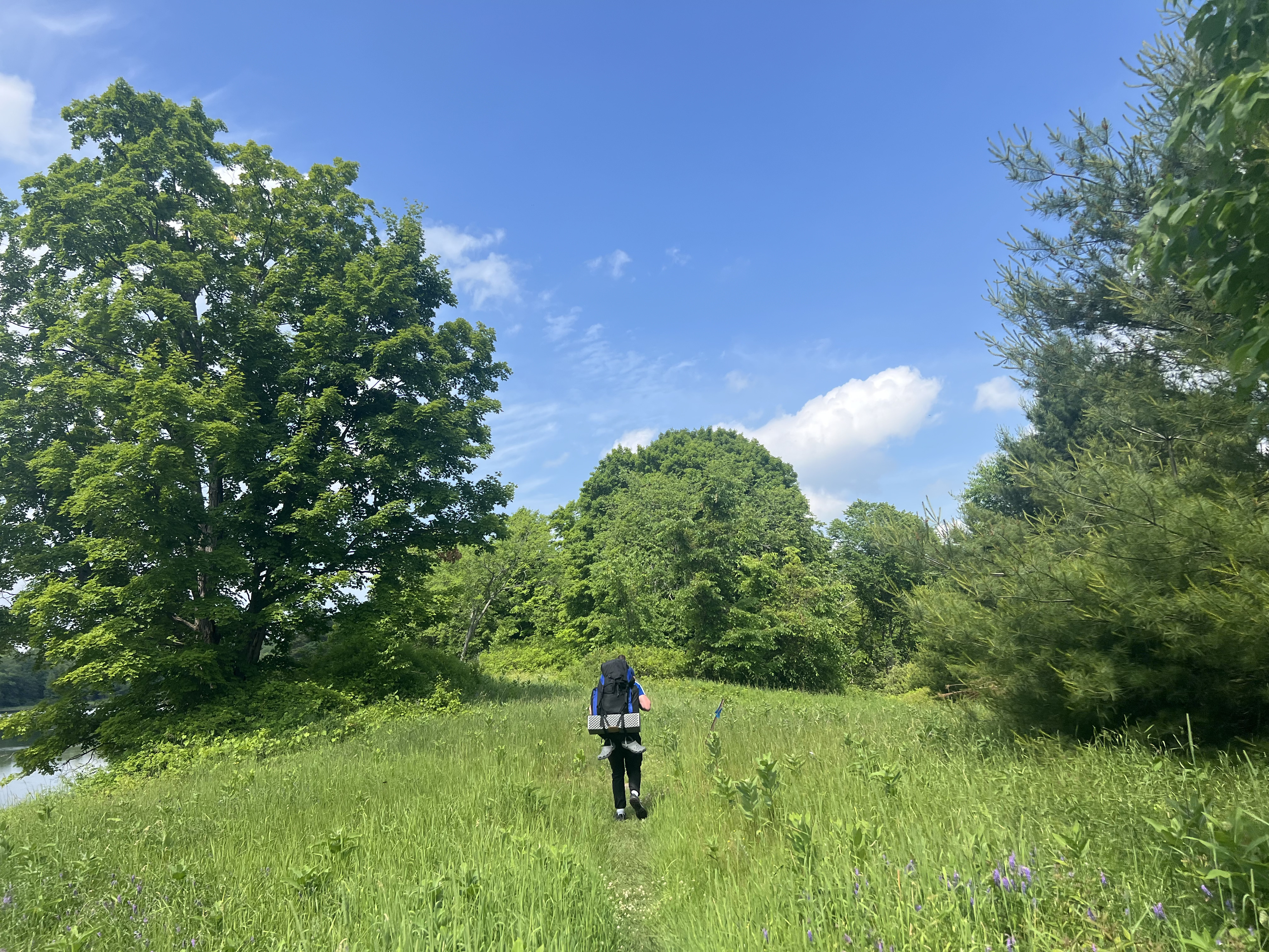 A picture of a guy climbing a hill