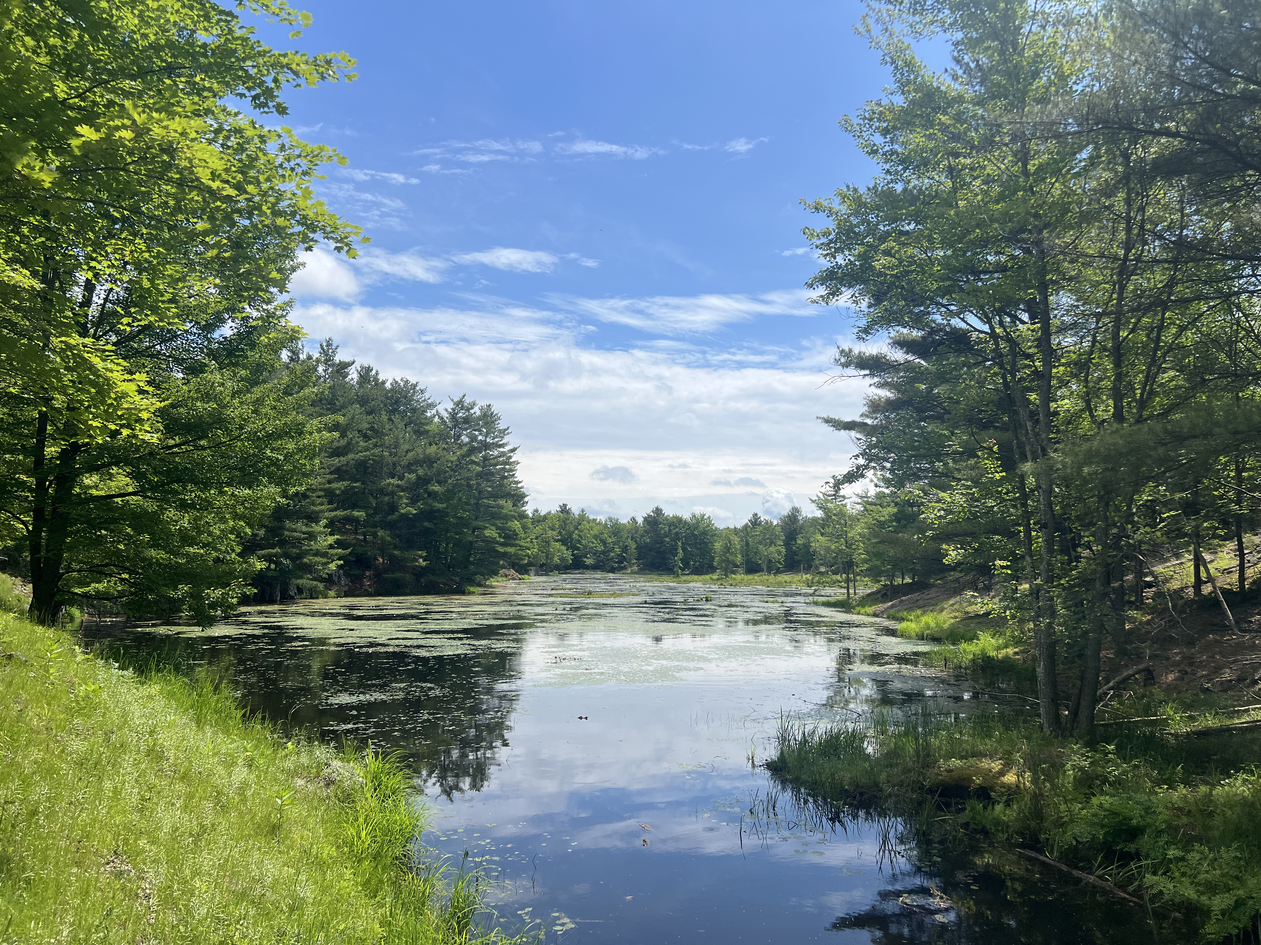 A picture of a lake