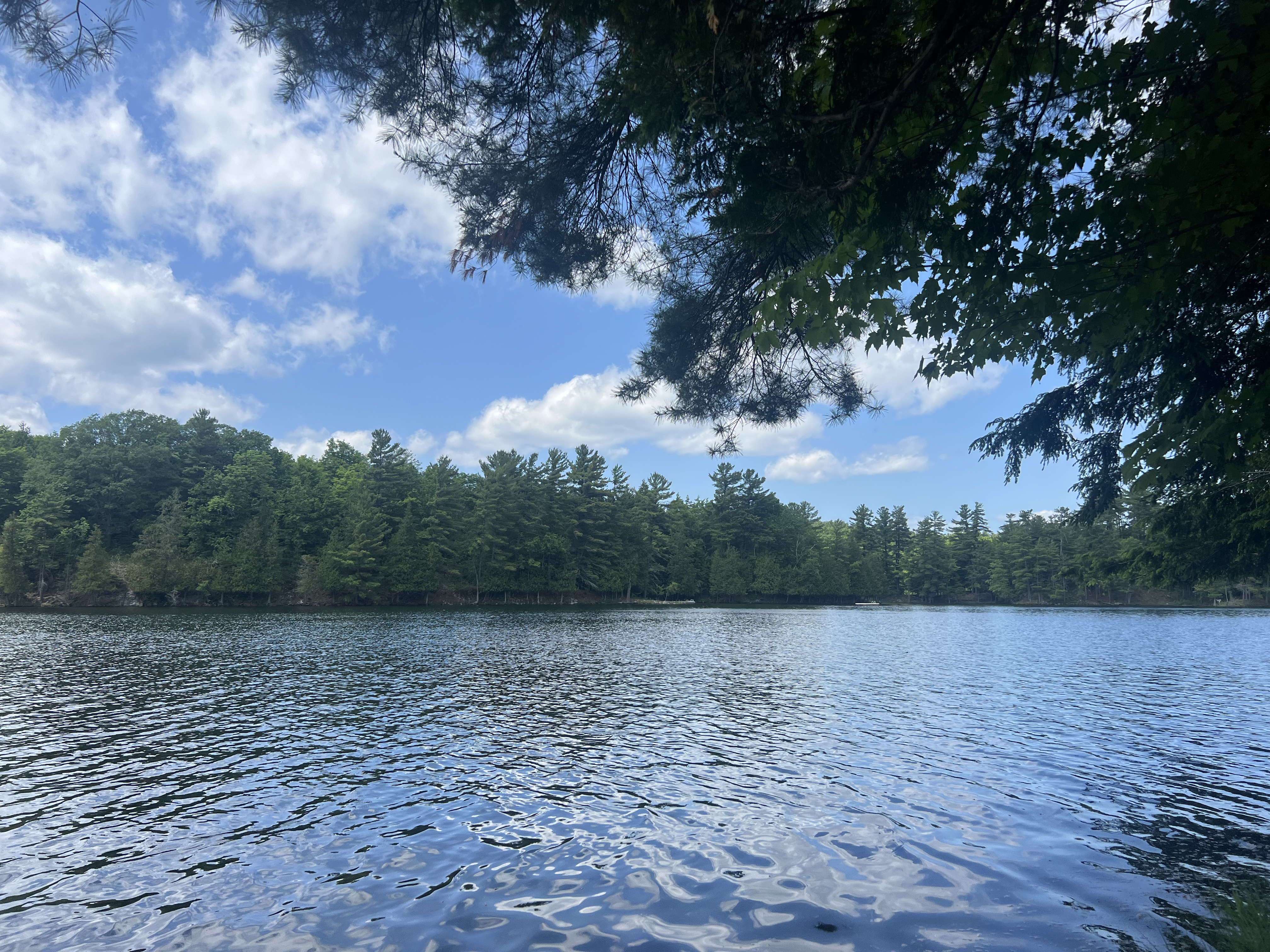 A picture of a lake