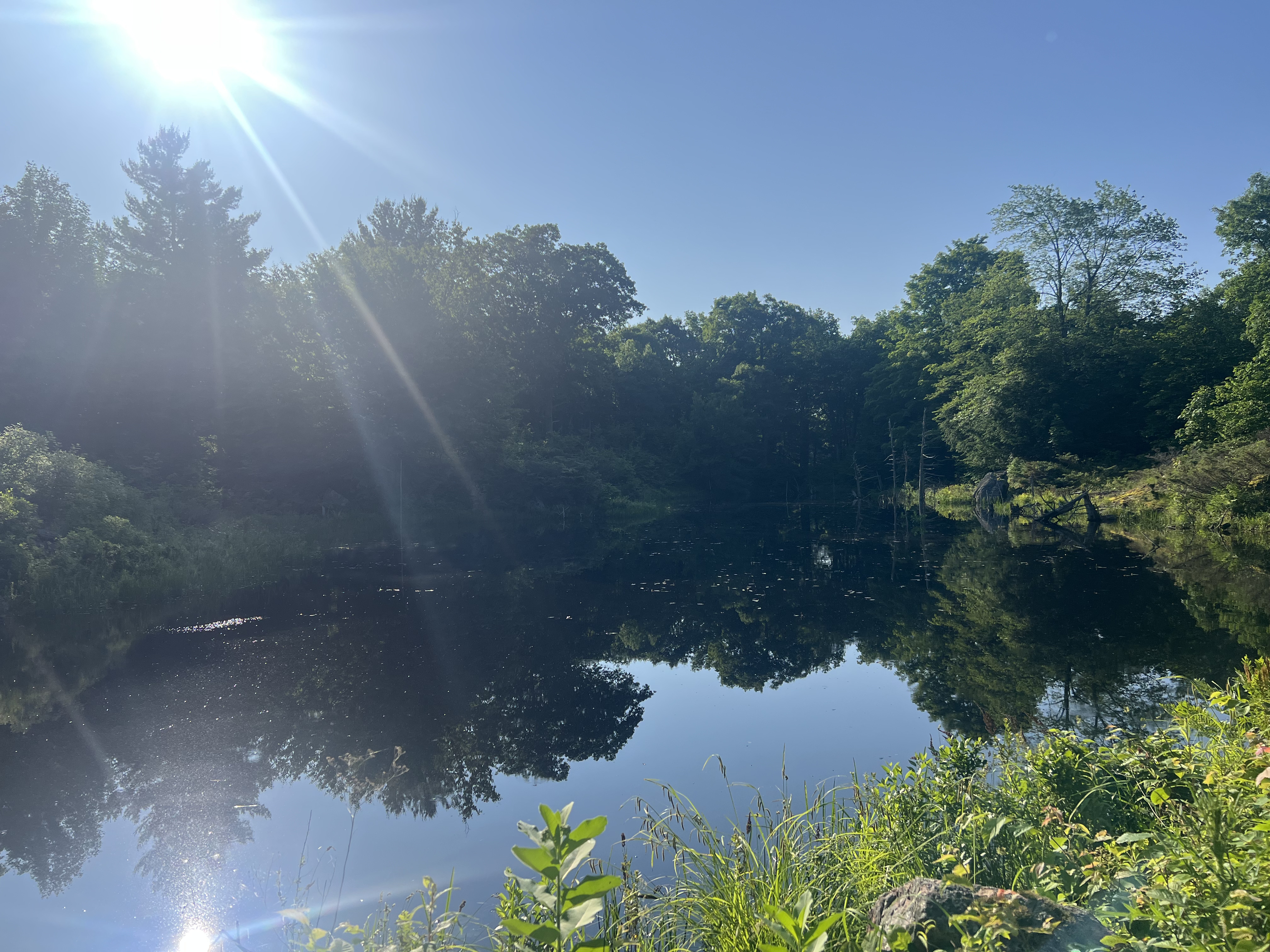 A picture of a lake