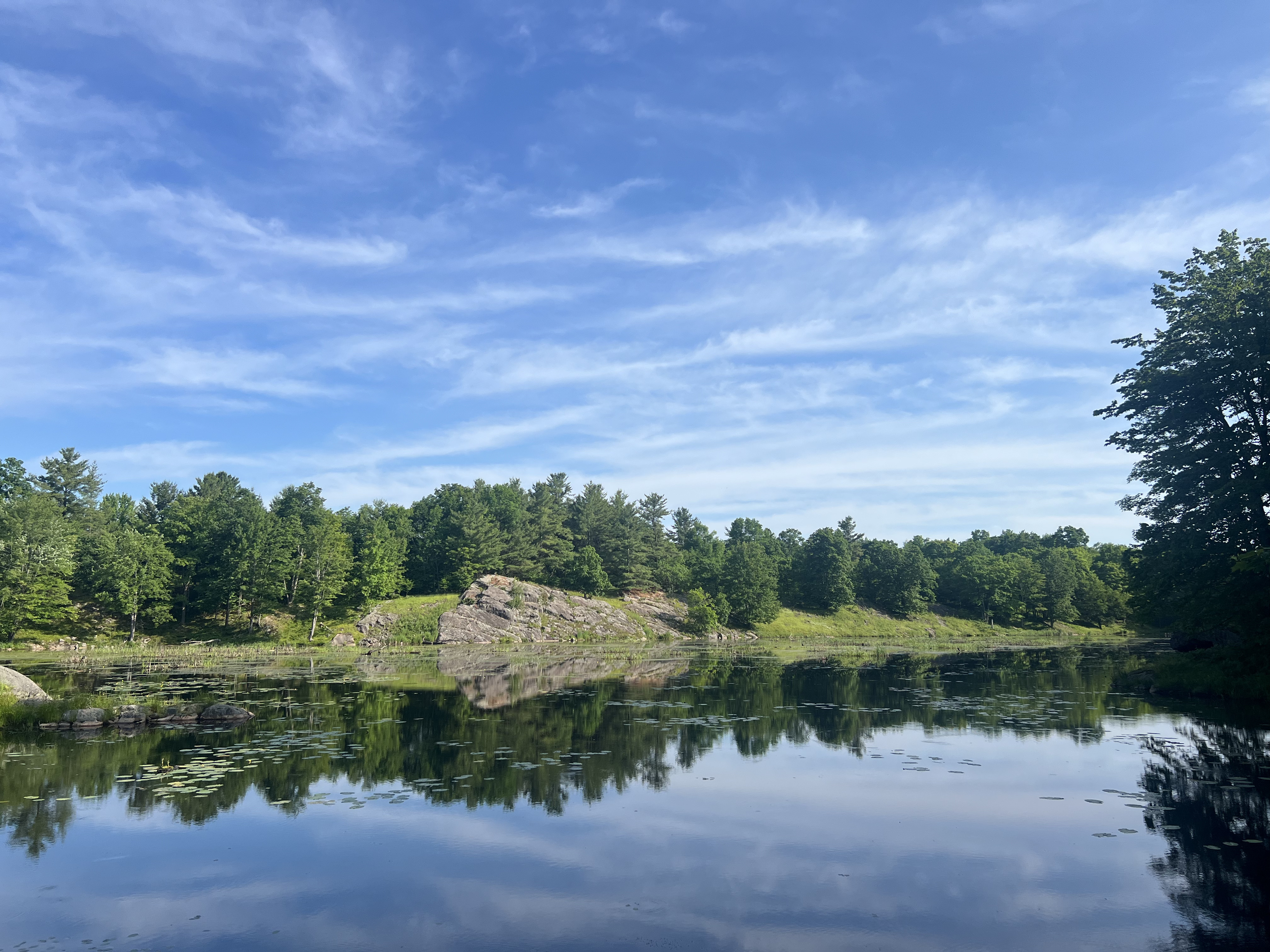A picture of lake with the trees reflection on the surface