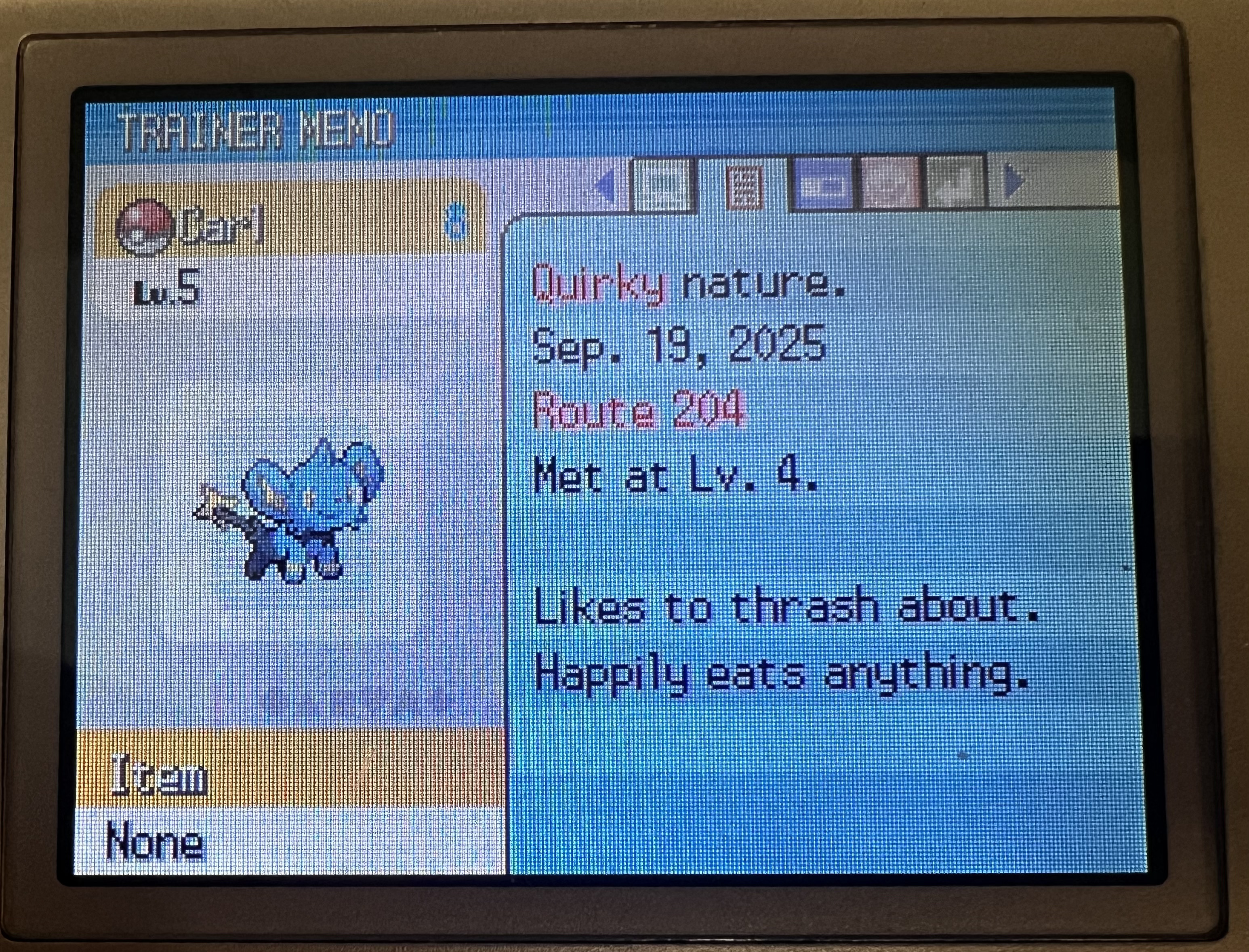 Here&rsquo;s Shinx!