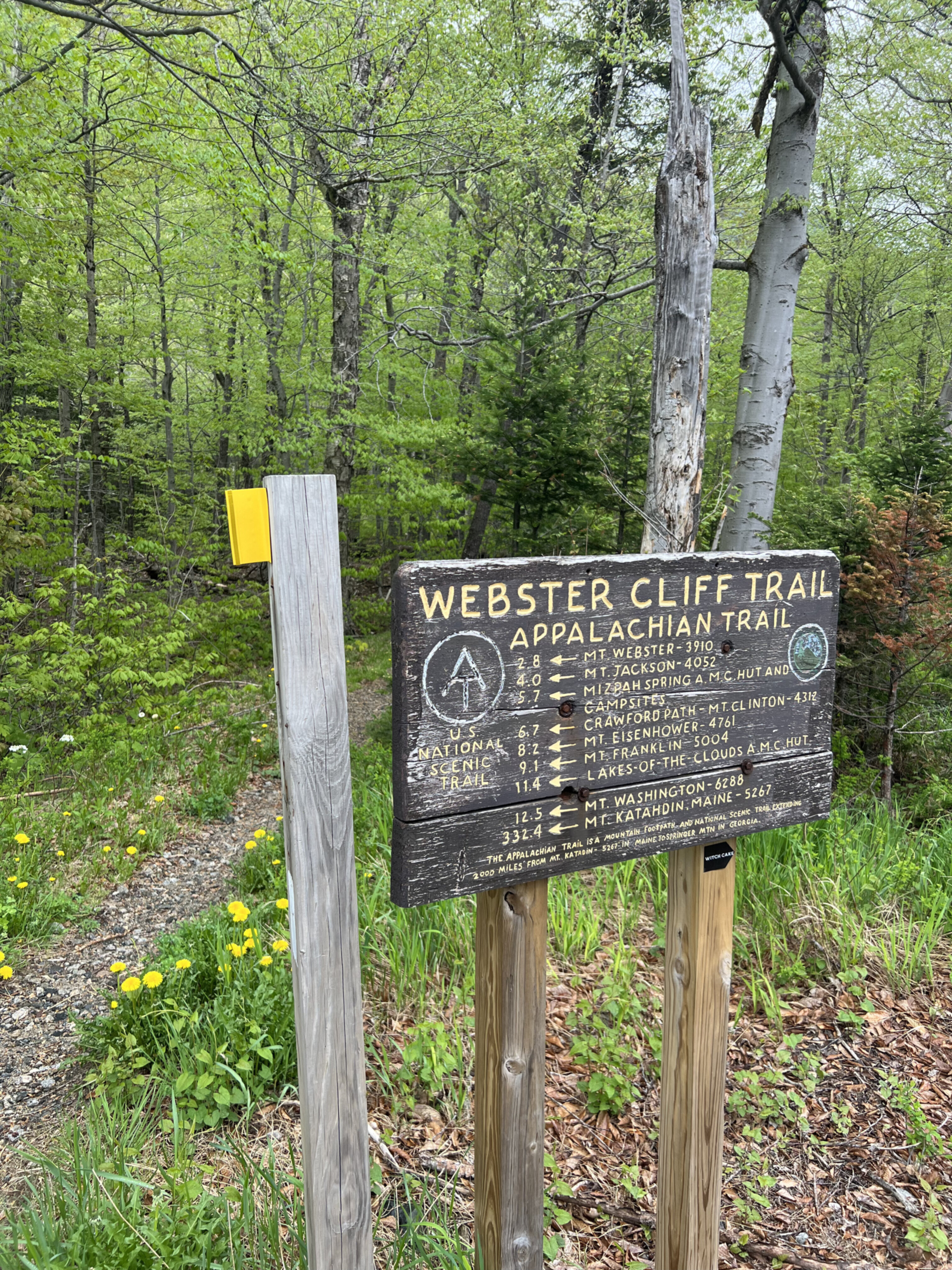 Wooden sign that says Websters Cliff Trail