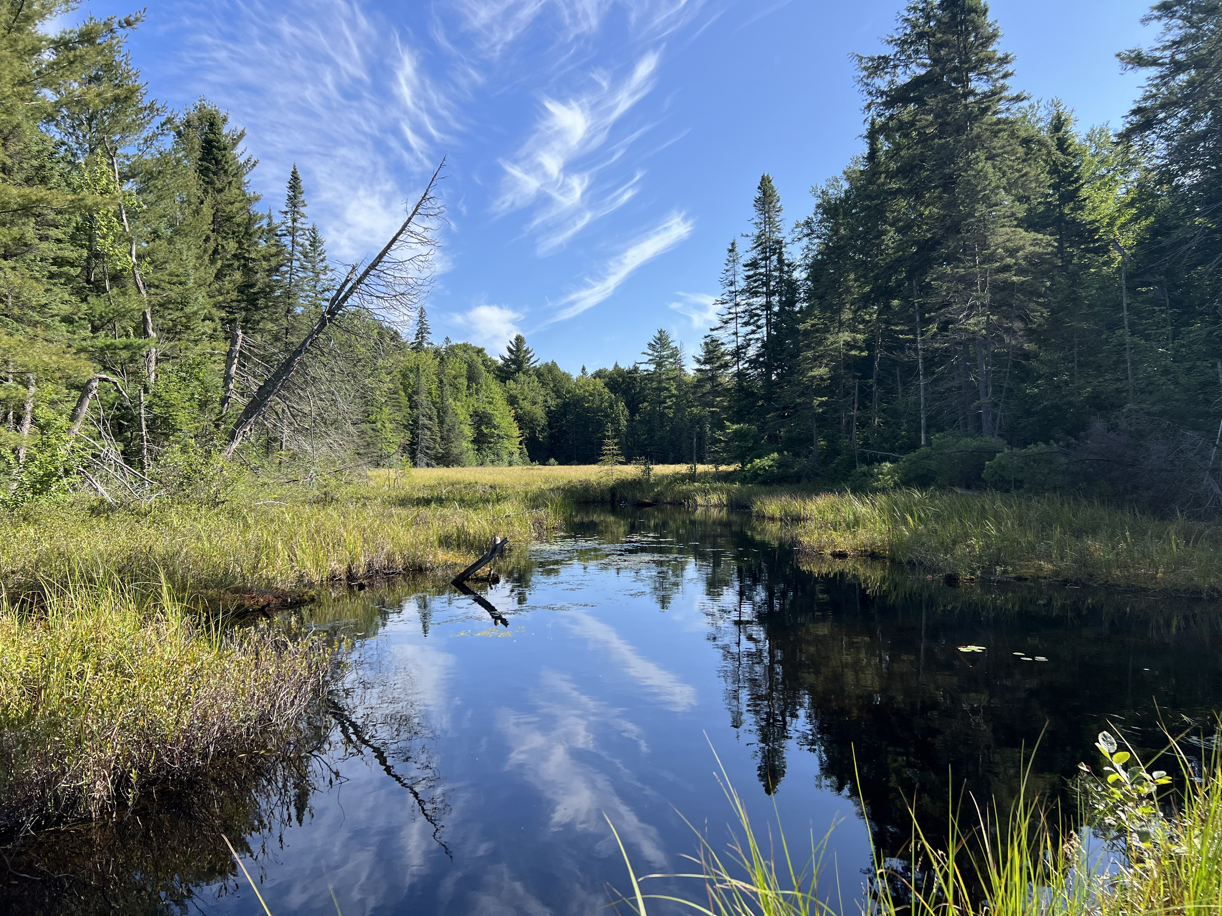A lake with a mirror like reflection
