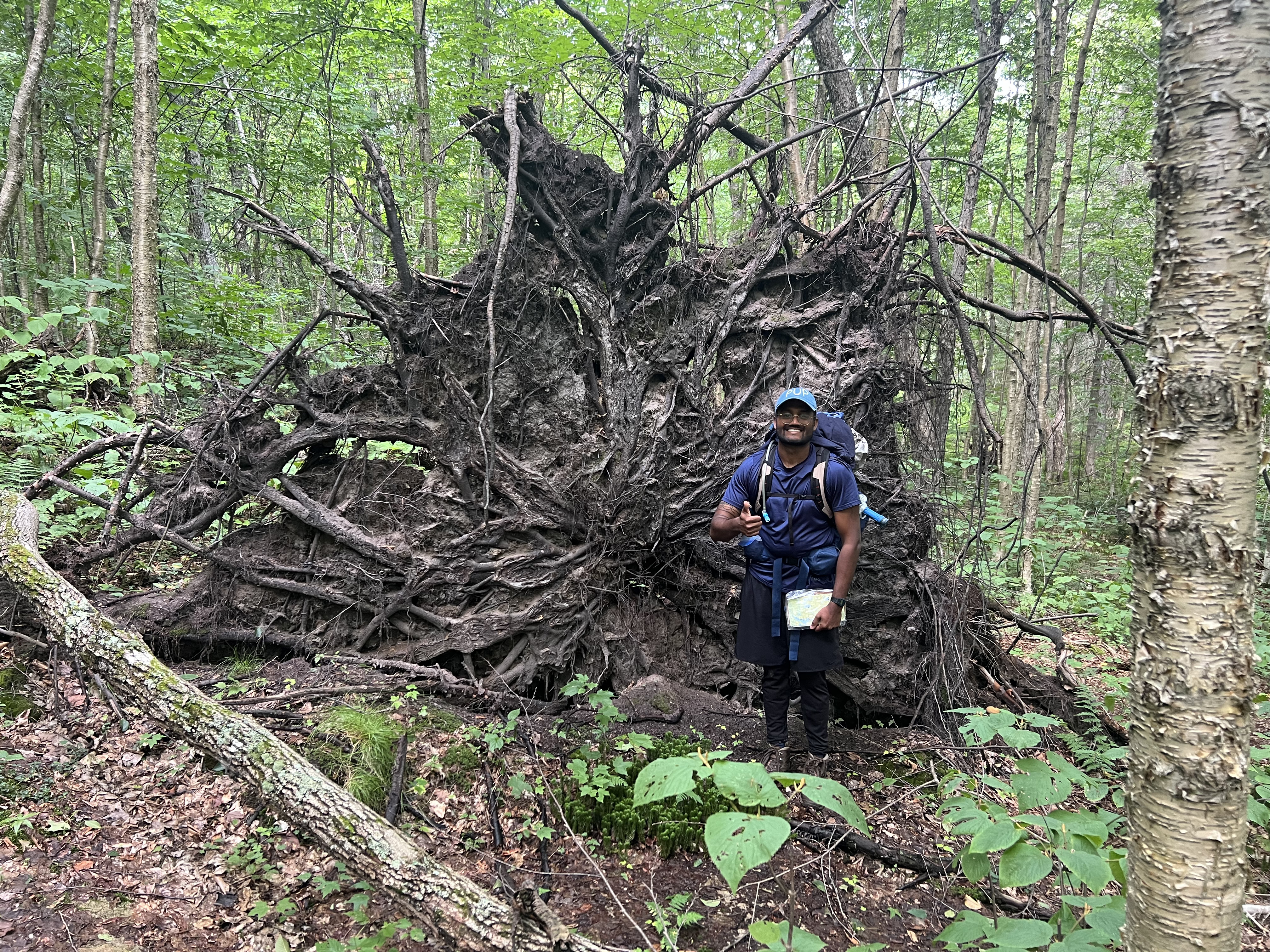 A man standing next to an fallen over tree