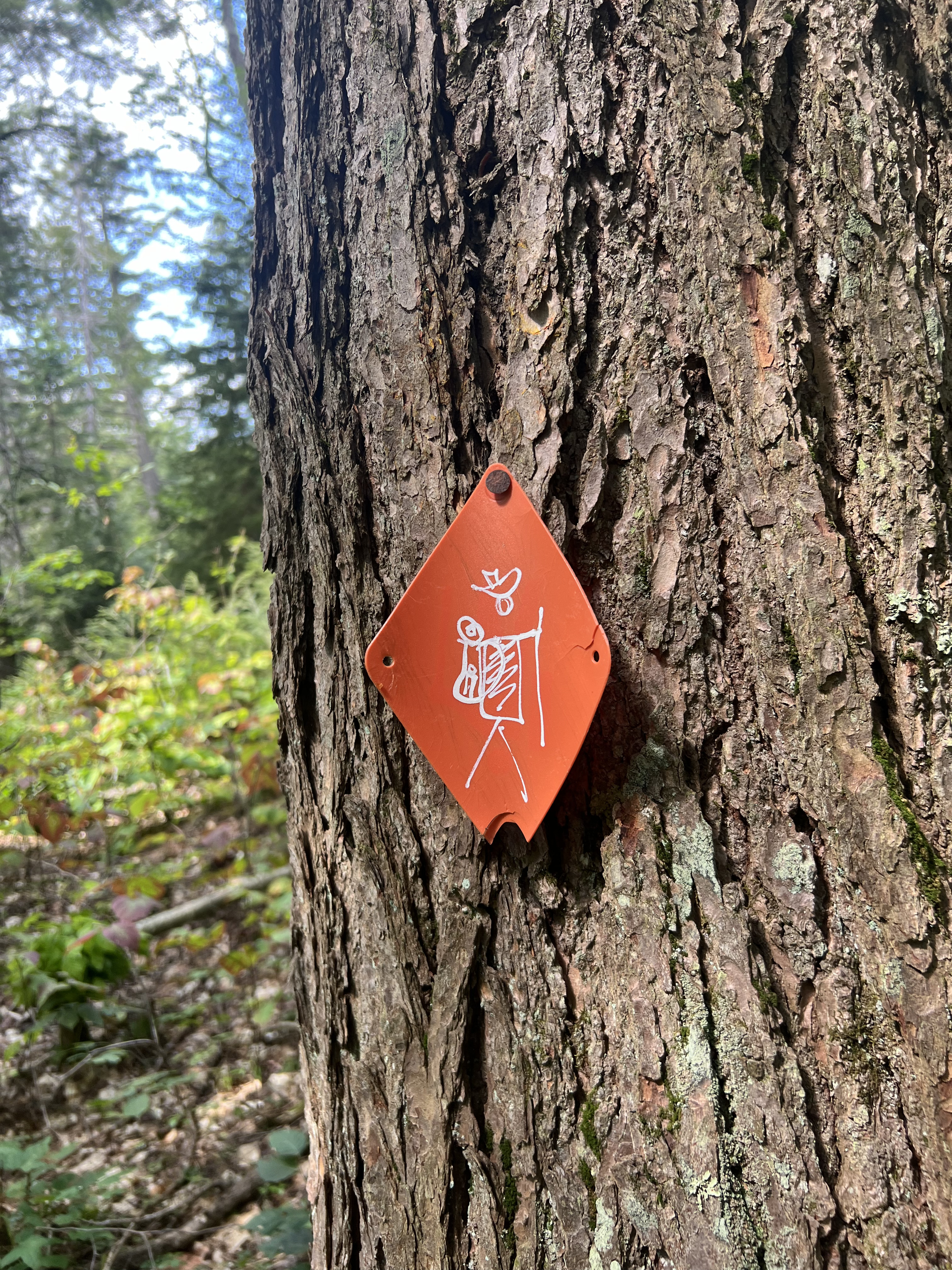 A trailmaker with a little hiker drawn on it