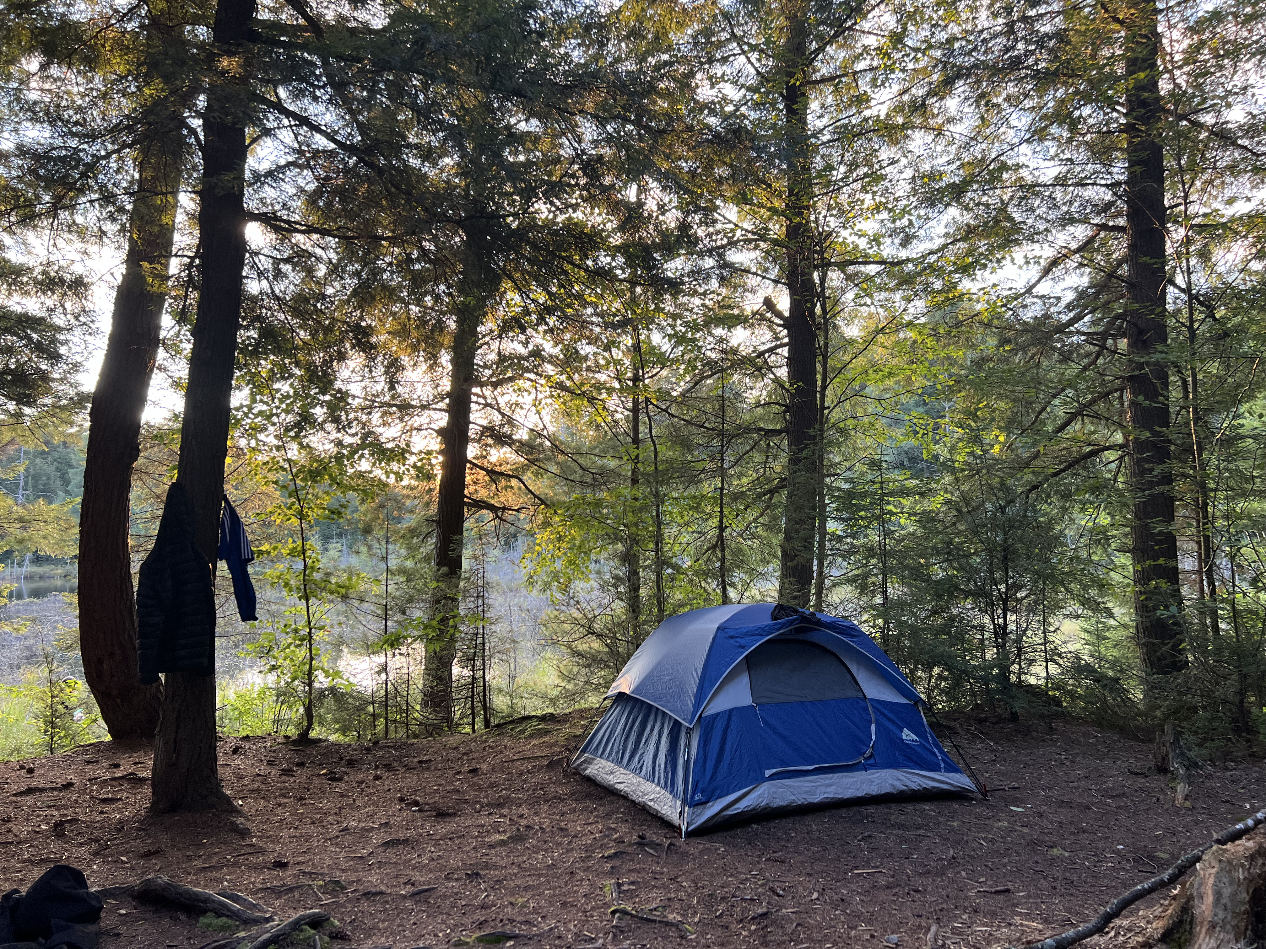A tent in the forest at a campsite