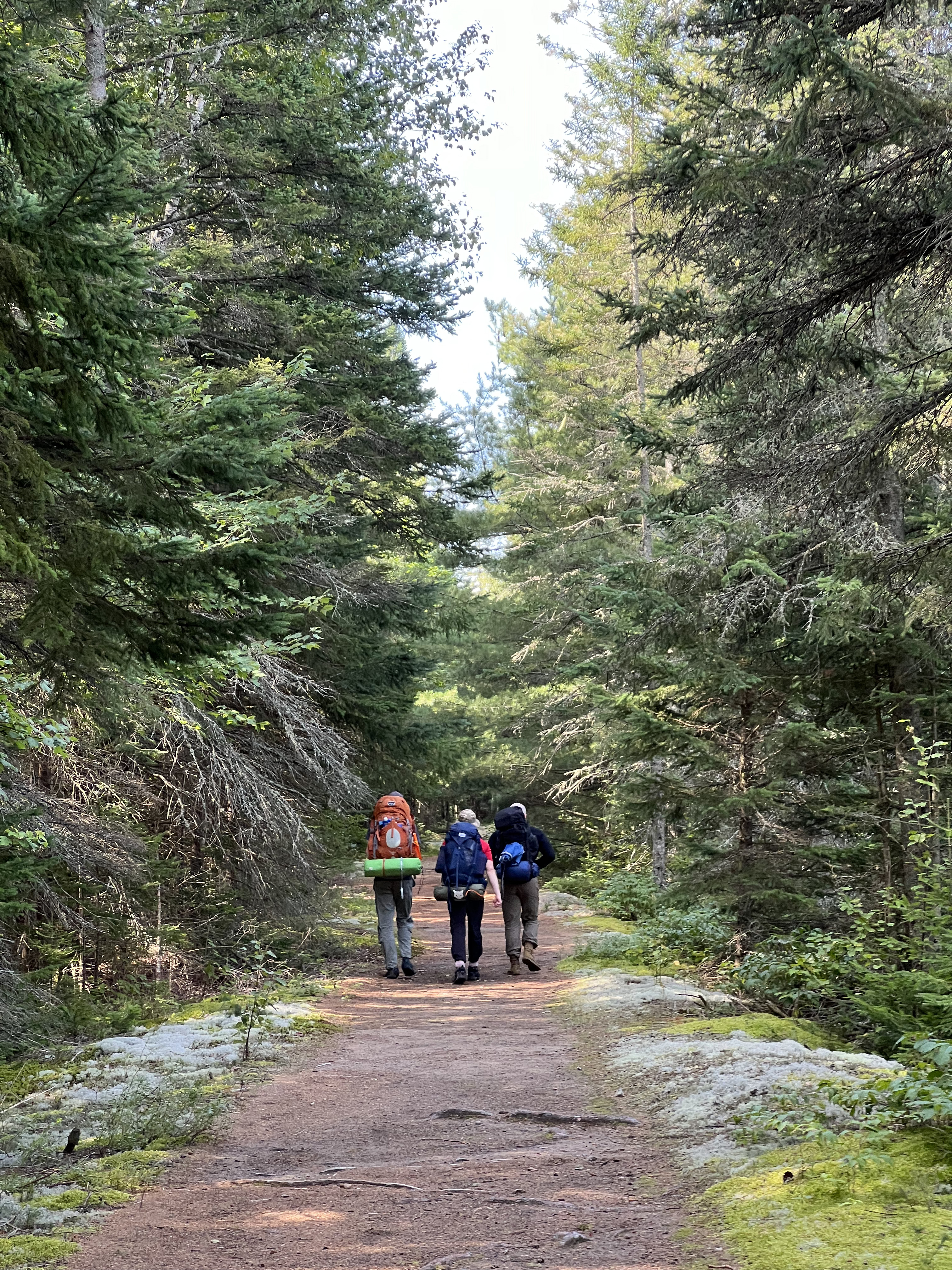 Group of guys walking on the trails through a forest